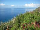 Land for Sale in Arco da Calheta, Calheta (Madeir
