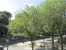 3 Bedroom Apartment in Paris 7Eme, Ile-De-France